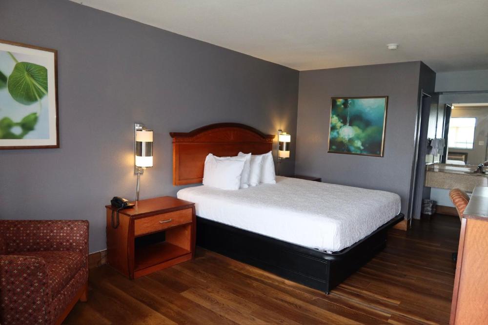 King Room interior